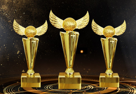 金屬紋飾創(chuàng)意獎(jiǎng)杯定制